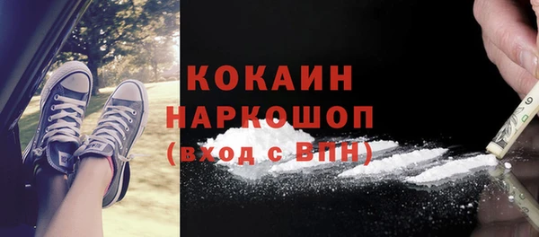 эйфоретик Бородино