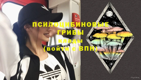 тгк Бугульма