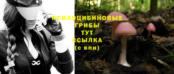 mdpv Верхний Тагил