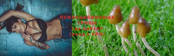 эйфоретик Бородино