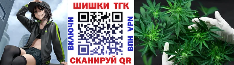 Купить закладки  Печора  Шишки марихуана план 